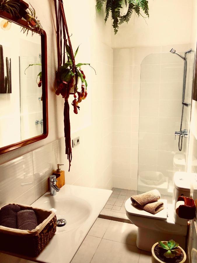 Cuarto Botanico Studio - Shared Pool - Central Island Location - 10 Mins Drive To Famara And La Santa Tiagua Exteriör bild